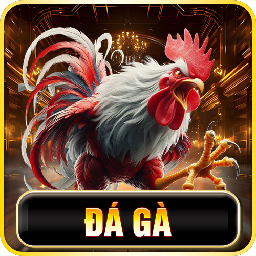 DA-GA-jj88